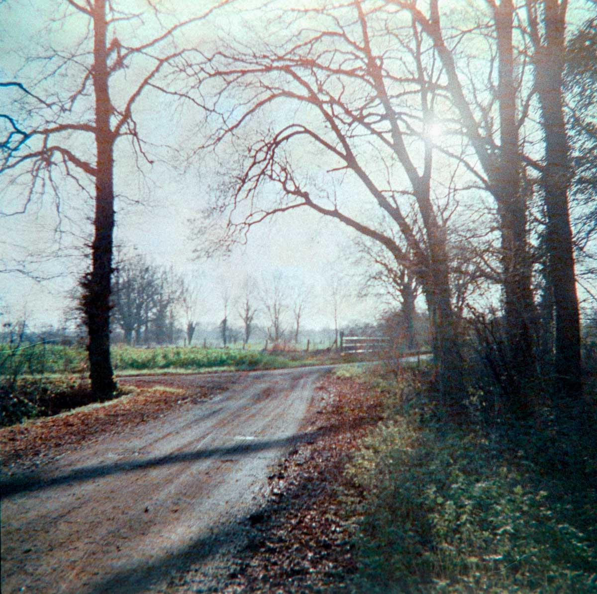 Film 26-01/07