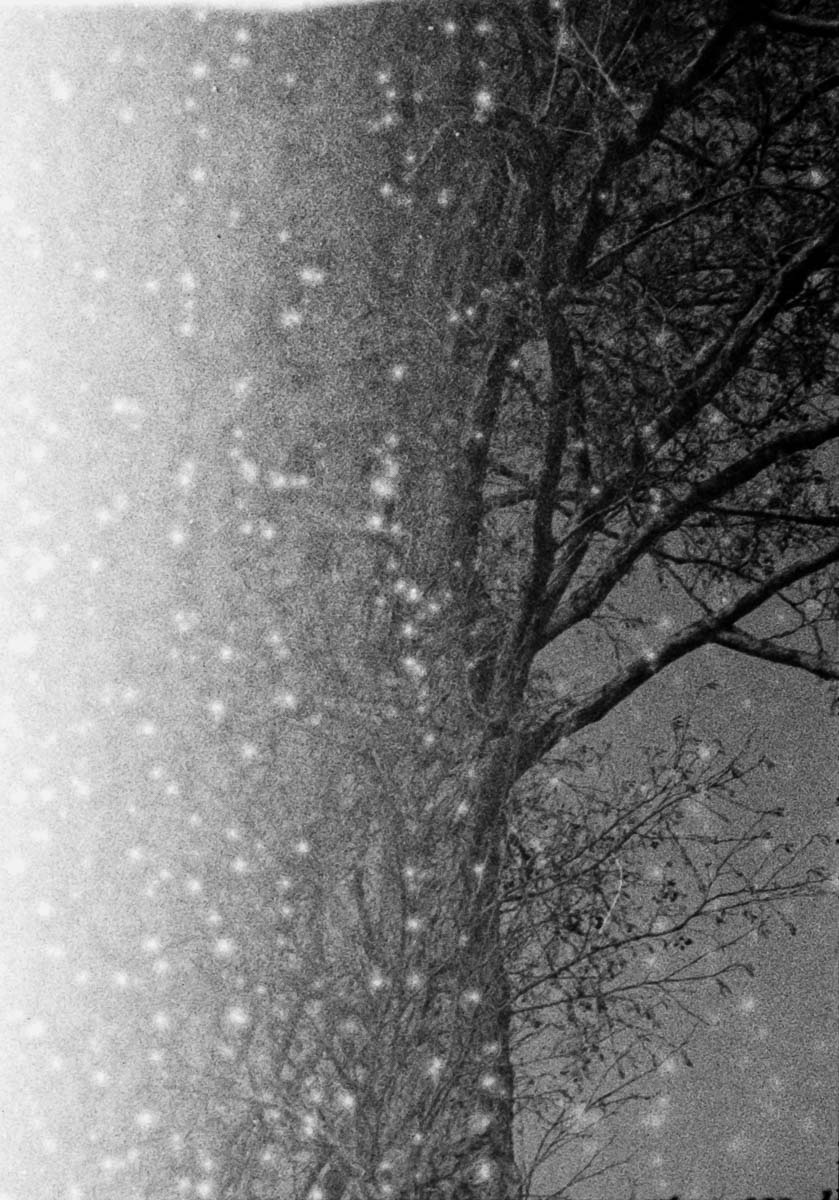 Film 26-01/08