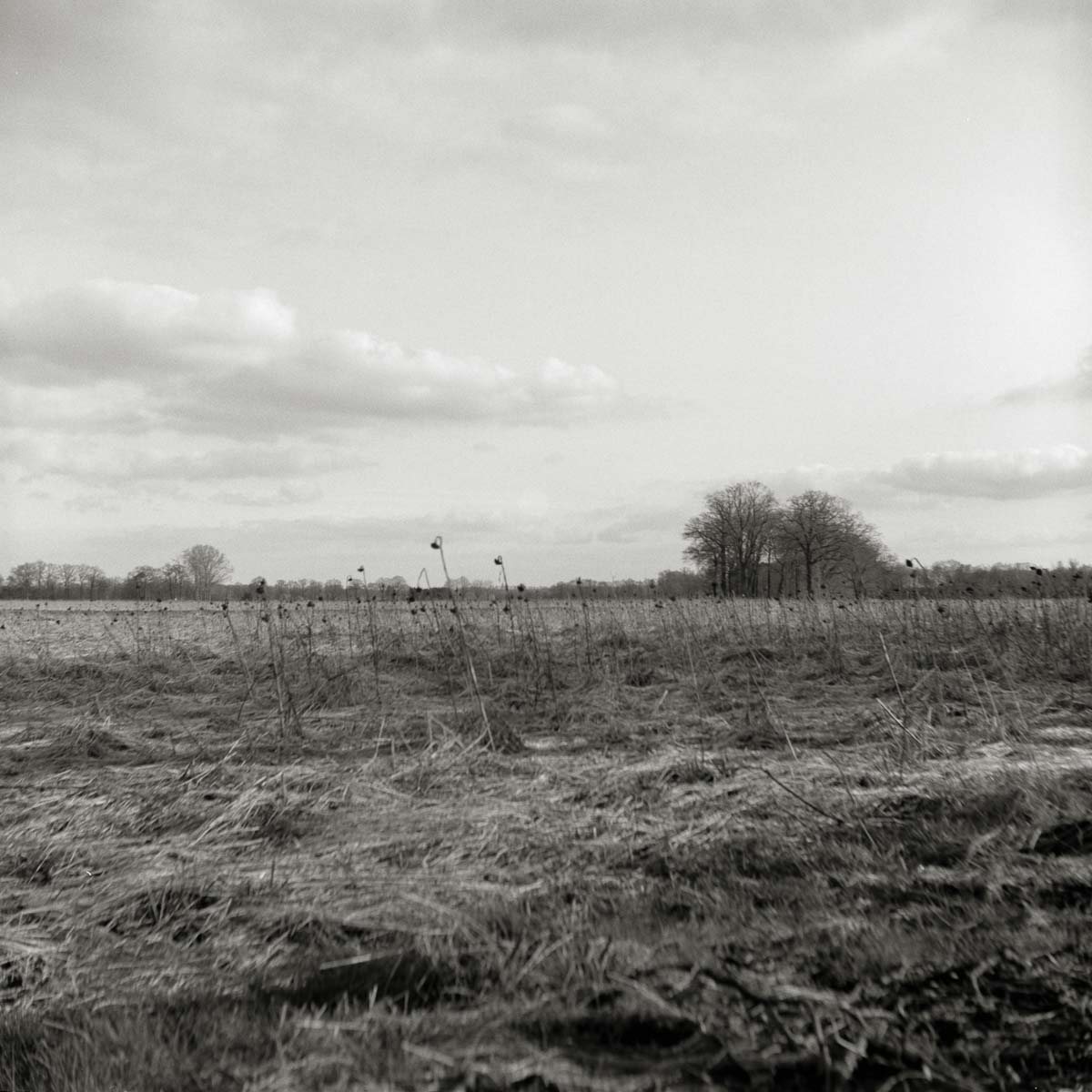 Film 26-03/01