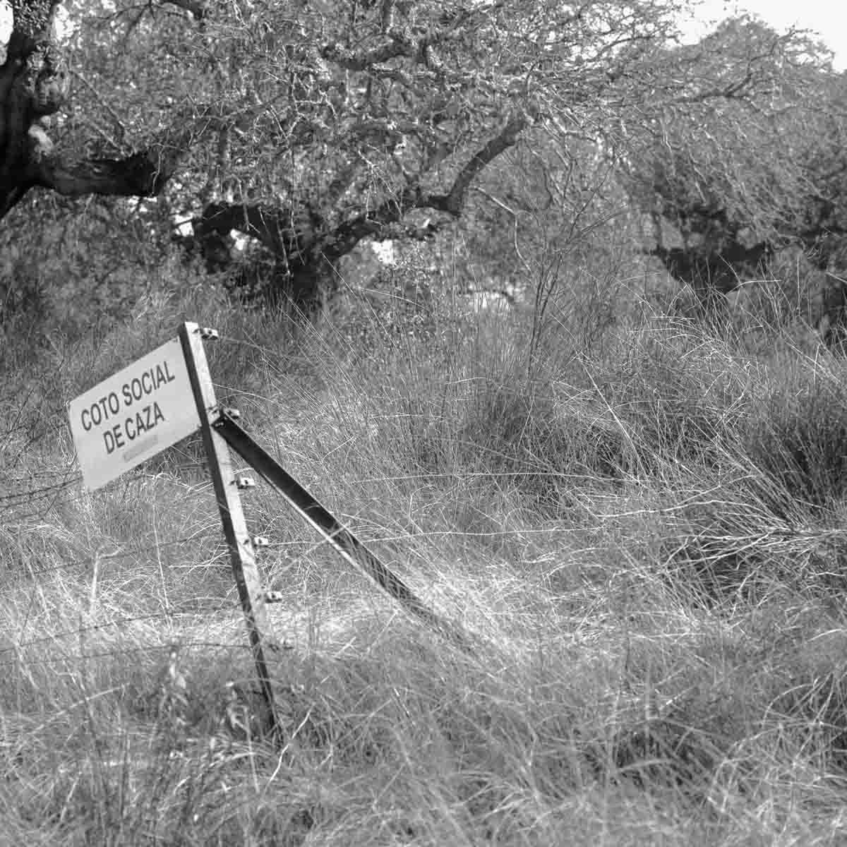 Granadilla (E)   2026-03