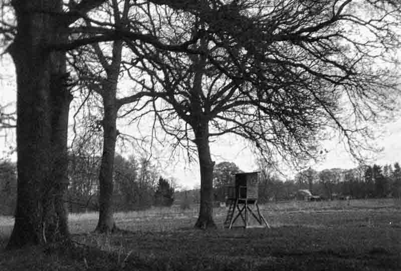 Film 26-04/03