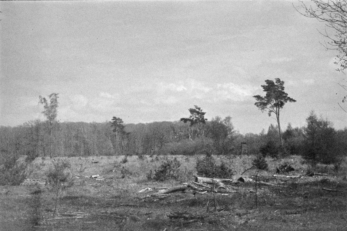 Film 26-04/05