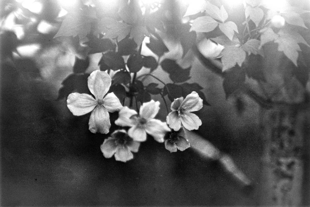 Film 26-05/02