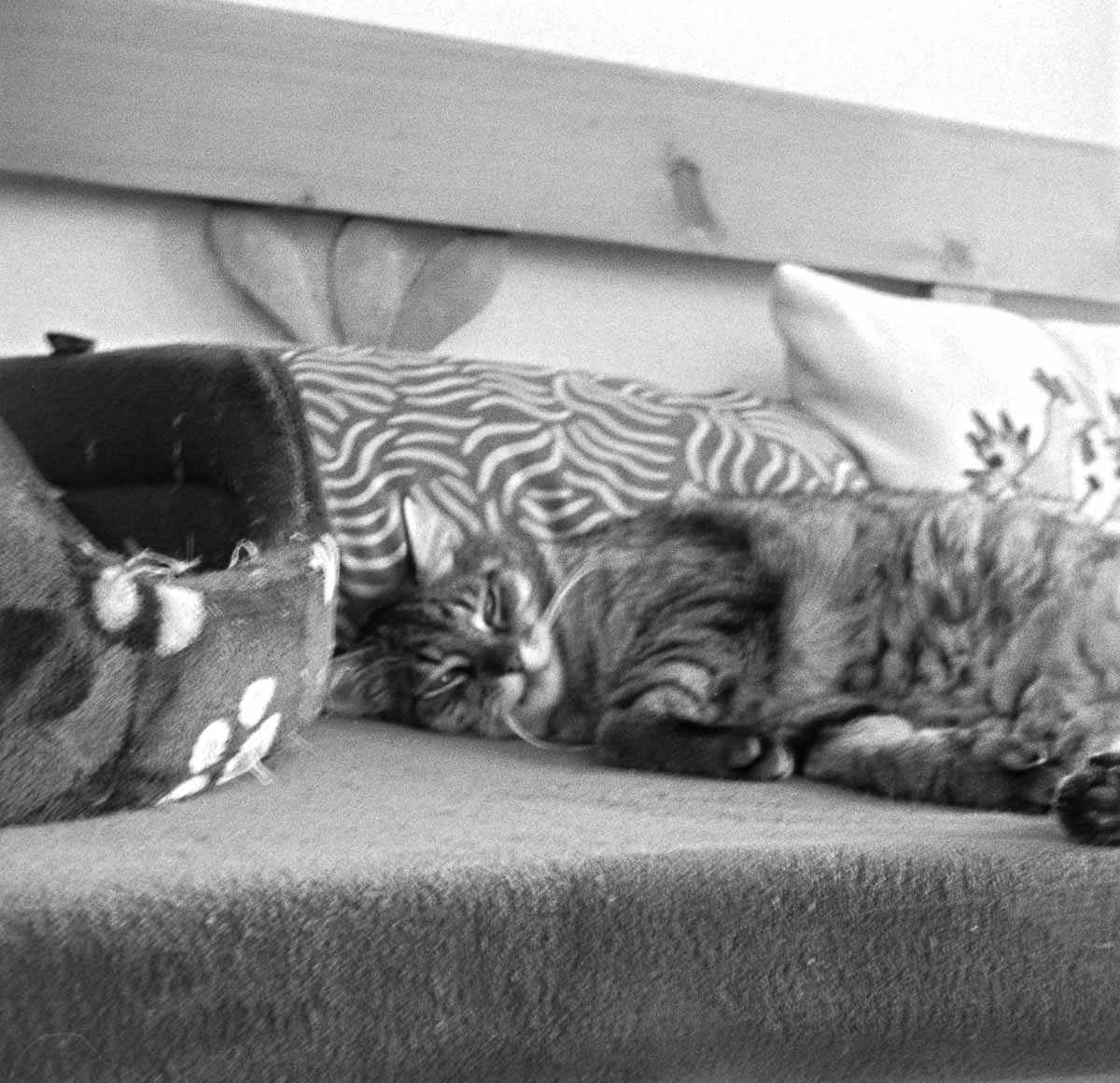 Film 26-05/05