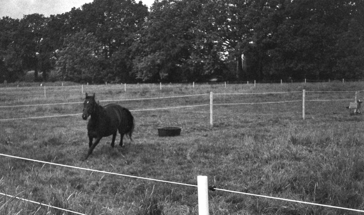 Film 26-07/01